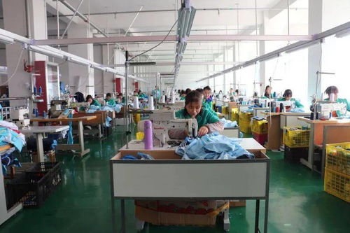 静宁县人社局 以“静宁果农”劳务品牌引领劳务产业高质量发展 拓宽群众增收致富路